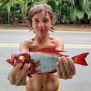 Meet your Posher, Ryan